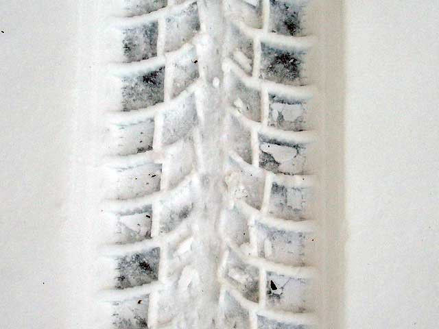 CS snowprint