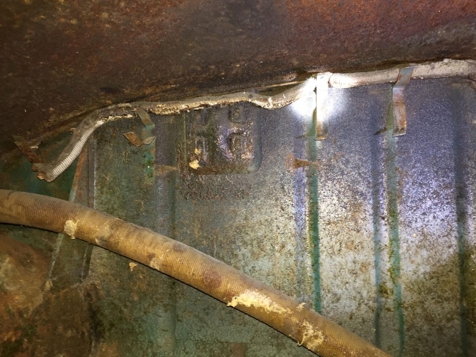 Image may have been reduced in size. Click image to view fullscreen.