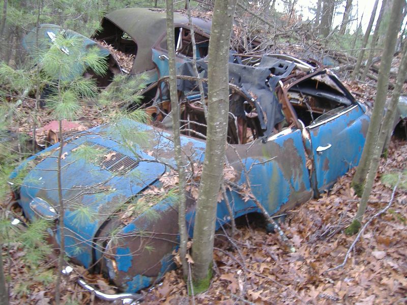 Image may have been reduced in size. Click image to view fullscreen.