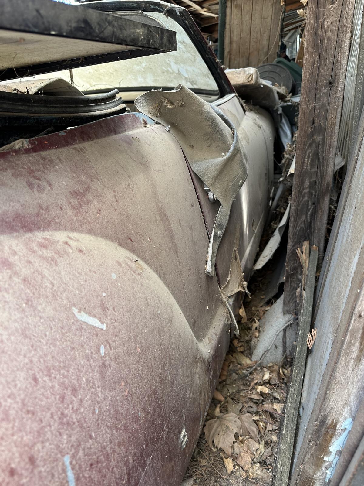 Image may have been reduced in size. Click image to view fullscreen.