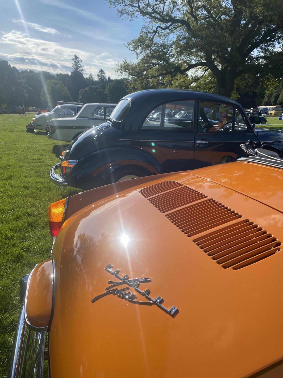 Image may have been reduced in size. Click image to view fullscreen.