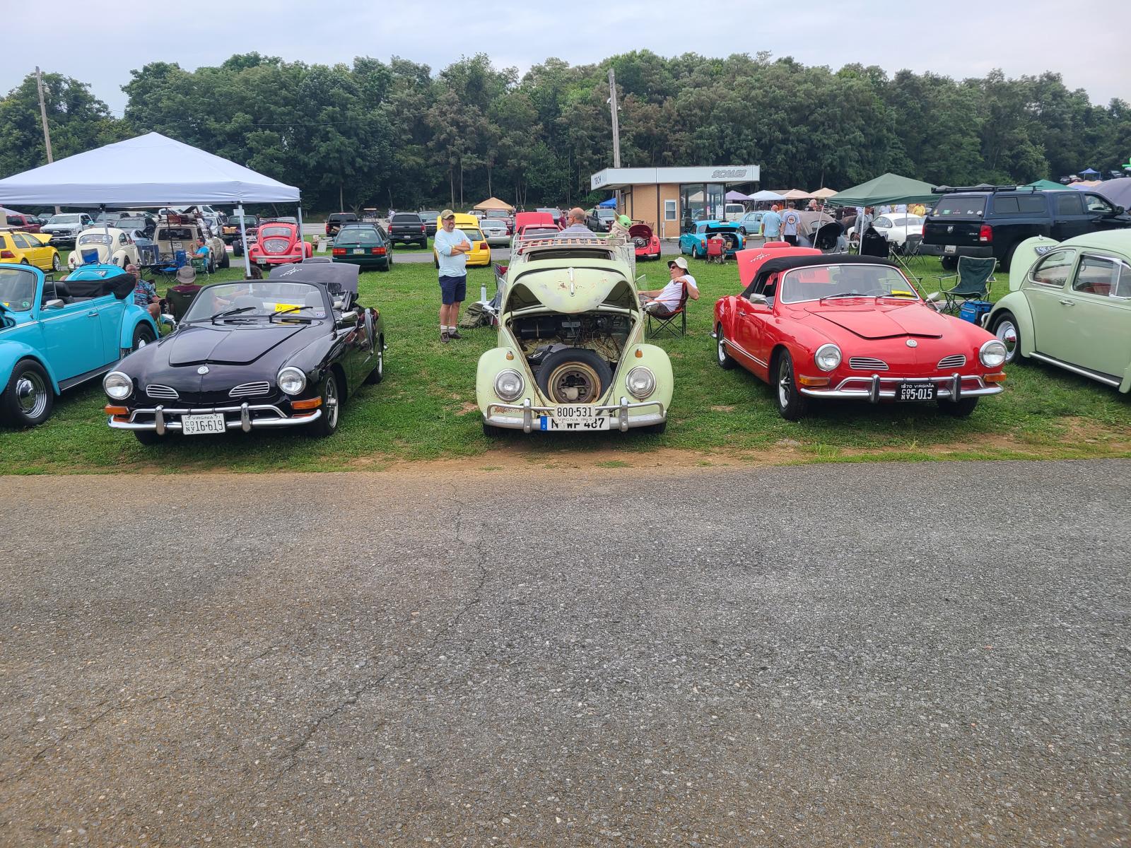 Image may have been reduced in size. Click image to view fullscreen.