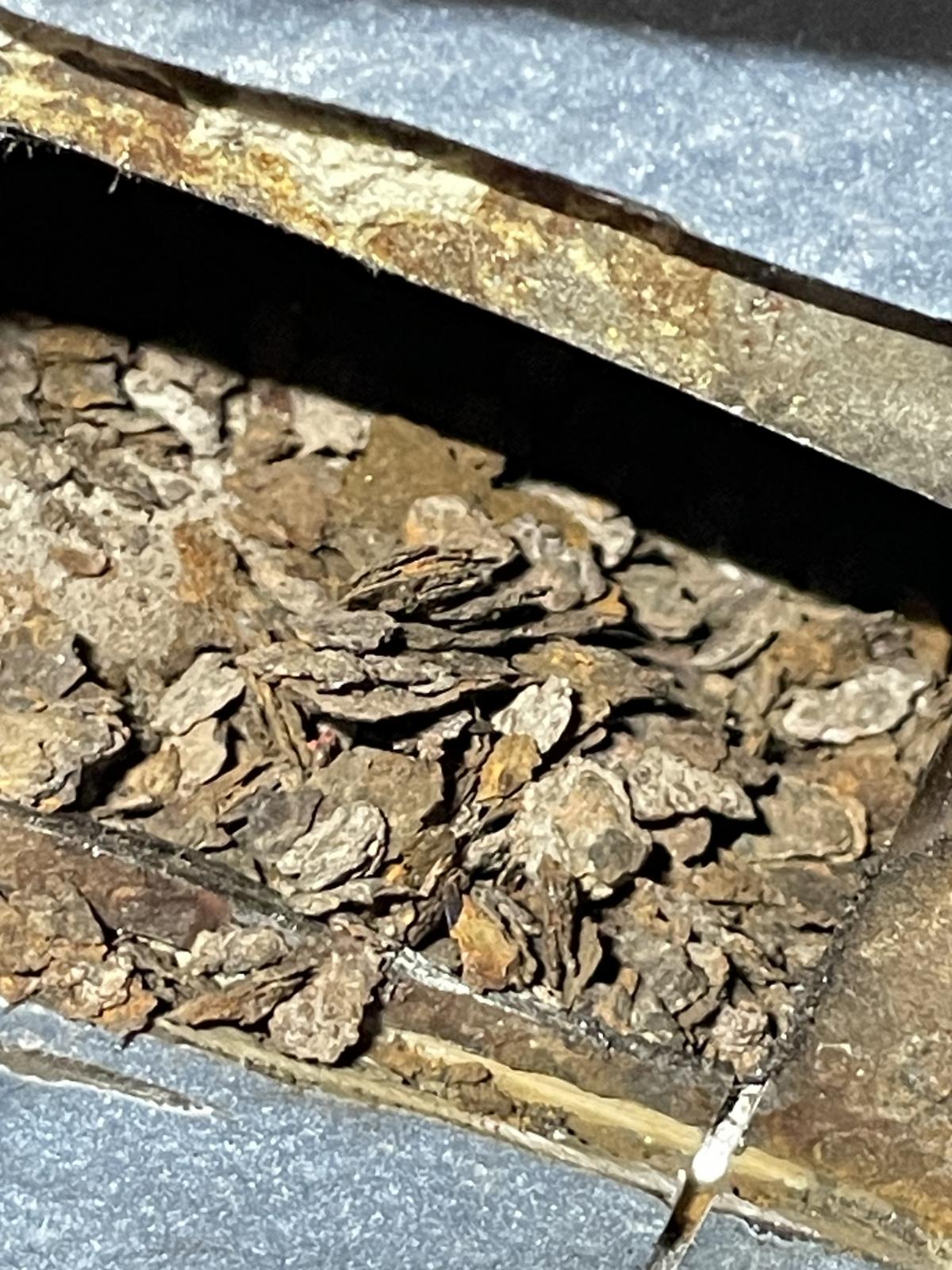 Image may have been reduced in size. Click image to view fullscreen.