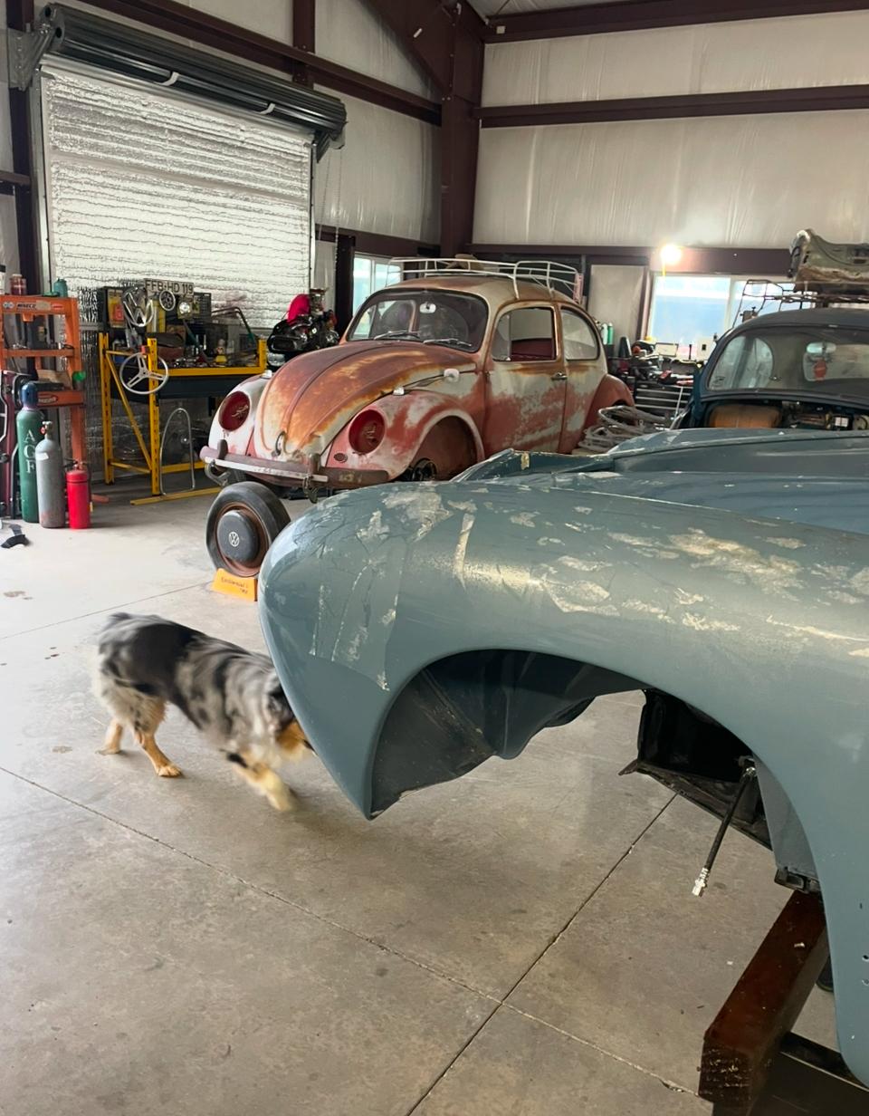 Image may have been reduced in size. Click image to view fullscreen.