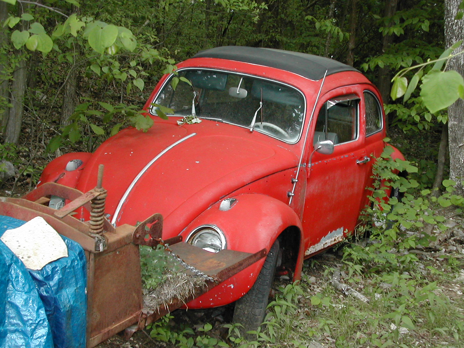 Image may have been reduced in size. Click image to view fullscreen.