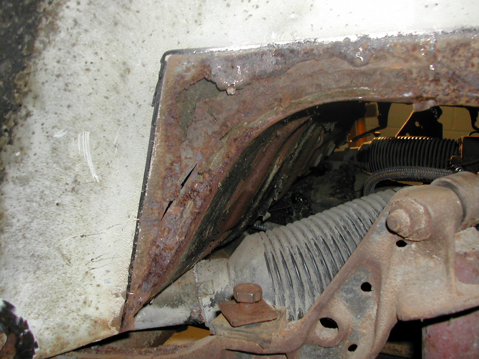 Image may have been reduced in size. Click image to view fullscreen.