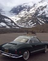 What did you do to your Ghia this week