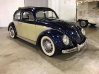 Summer Volkfest 2017