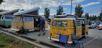 VW Show Pics