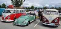 VW Show Pics