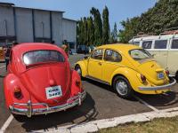 VW's in Goa, India