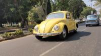 VW's in Goa, India