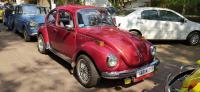 VW's in Goa, India