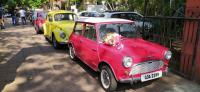 VW's in Goa, India