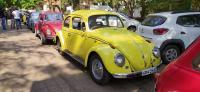 VW's in Goa, India
