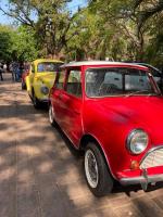 VW's in Goa, India