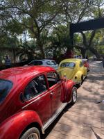 VW's in Goa, India