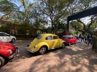 VW's in Goa, India