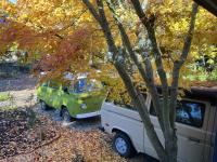 Bays in Fall