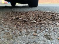 Removing rust from a T2 inner bumper