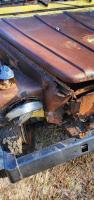 brokingVdub 181 rust buggy