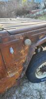 brokingVdub 181 rust buggy