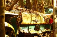 The car that sat next to my barndoor