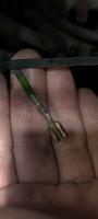 O2 sensor cable
