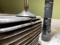 Valve Seat