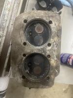 Okrasa head