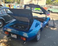 Coach Built VWs at the 40th annual Kelley Park meet in San Jose, CA. Sunday April 13th, 2025