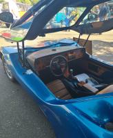Coach Built VWs at the 40th annual Kelley Park meet in San Jose, CA. Sunday April 13th, 2025