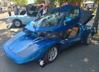Coach Built VWs at the 40th annual Kelley Park meet in San Jose, CA. Sunday April 13th, 2025