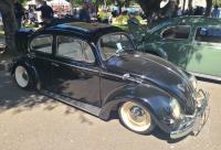 Bugs at the 40th annual Kelley Park meet in San Jose, CA. Sunday April 13th, 2025