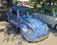 Bugs at the 40th annual Kelley Park meet in San Jose, CA. Sunday April 13th, 2025