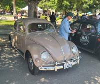 Bugs at the 40th annual Kelley Park meet in San Jose, CA. Sunday April 13th, 2025
