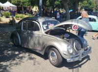 Bugs at the 40th annual Kelley Park meet in San Jose, CA. Sunday April 13th, 2025