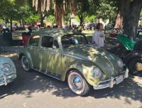 Bugs at the 40th annual Kelley Park meet in San Jose, CA. Sunday April 13th, 2025