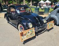 Bugs at the 40th annual Kelley Park meet in San Jose, CA. Sunday April 13th, 2025
