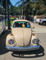 Bugs at the 40th annual Kelley Park meet in San Jose, CA. Sunday April 13th, 2025