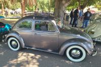 Bugs at the 40th annual Kelley Park meet in San Jose, CA. Sunday April 13th, 2025