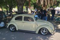 Bugs at the 40th annual Kelley Park meet in San Jose, CA. Sunday April 13th, 2025
