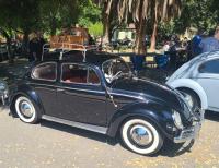 Bugs at the 40th annual Kelley Park meet in San Jose, CA. Sunday April 13th, 2025