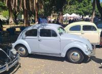 Bugs at the 40th annual Kelley Park meet in San Jose, CA. Sunday April 13th, 2025