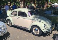 Bugs at the 40th annual Kelley Park meet in San Jose, CA. Sunday April 13th, 2025