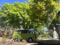 VW fun challenge