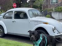 VW challenge