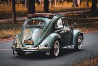 2025 SLUG BUGS WALL CALENDAR