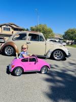 Kids and Beetles
