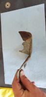 Part ID Help